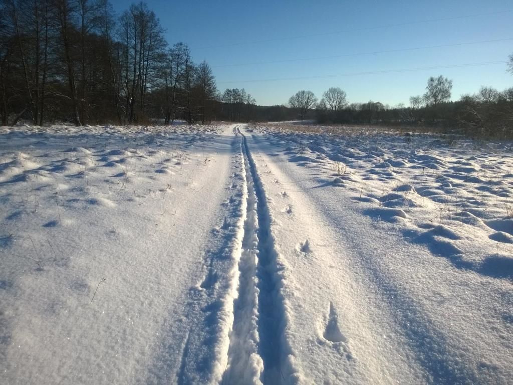 Гостевой дом Агроусадьба Хутор Комаришки Velikaya Stracha